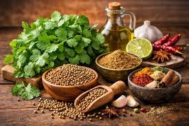 Koriandri: Unlocking the Potential of Modern Culinary and Health Innovation